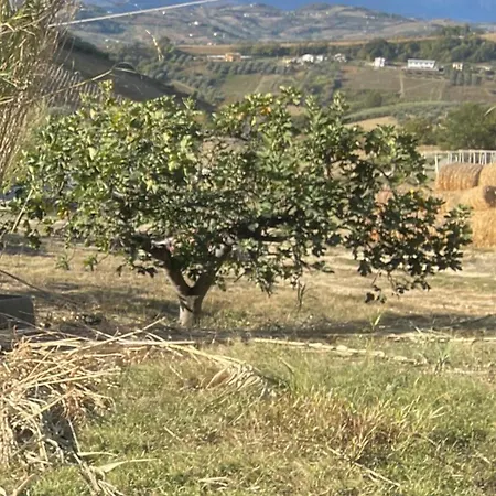 Casabianca Elice