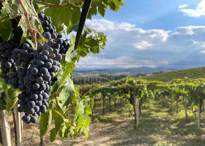 Casabianca בית נופש Elice